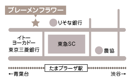 アクセスマップ