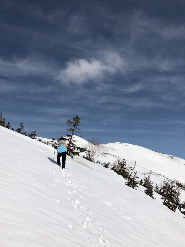 雪の至仏山