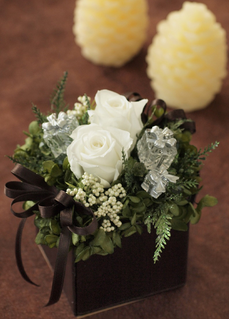 Preserved Flowers