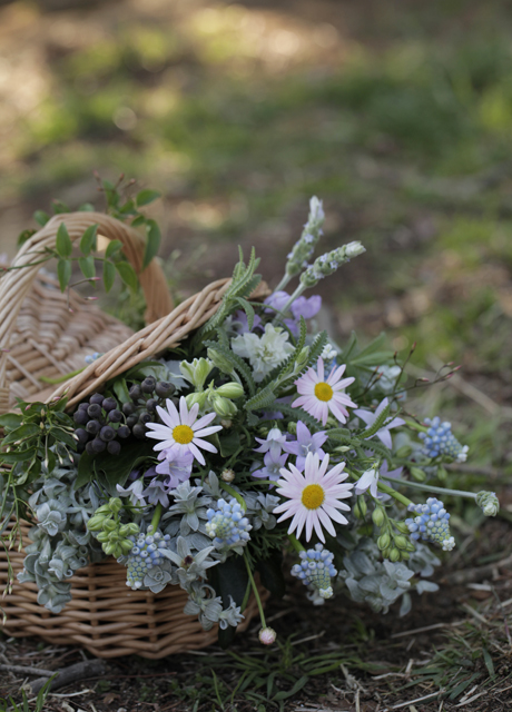 Fresh Flowers