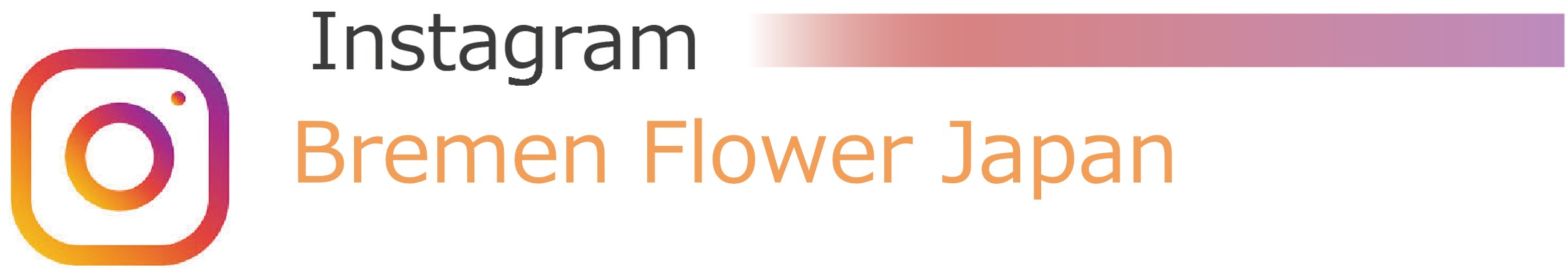 Bremen Flower Japan｜インスタグラム