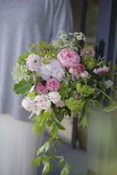 newsThumb_869_65e99d6bb385a.jpg