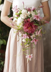 newsThumb_905_67c2cf1f44357.jpg