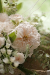 newsThumb_908_67e9213d238c4.jpg